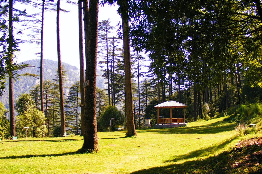 Dhanaulti